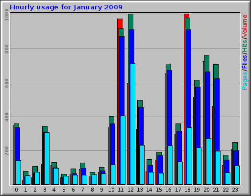 Hourly usage for January 2009