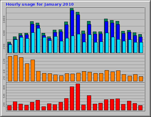Hourly usage for January 2010